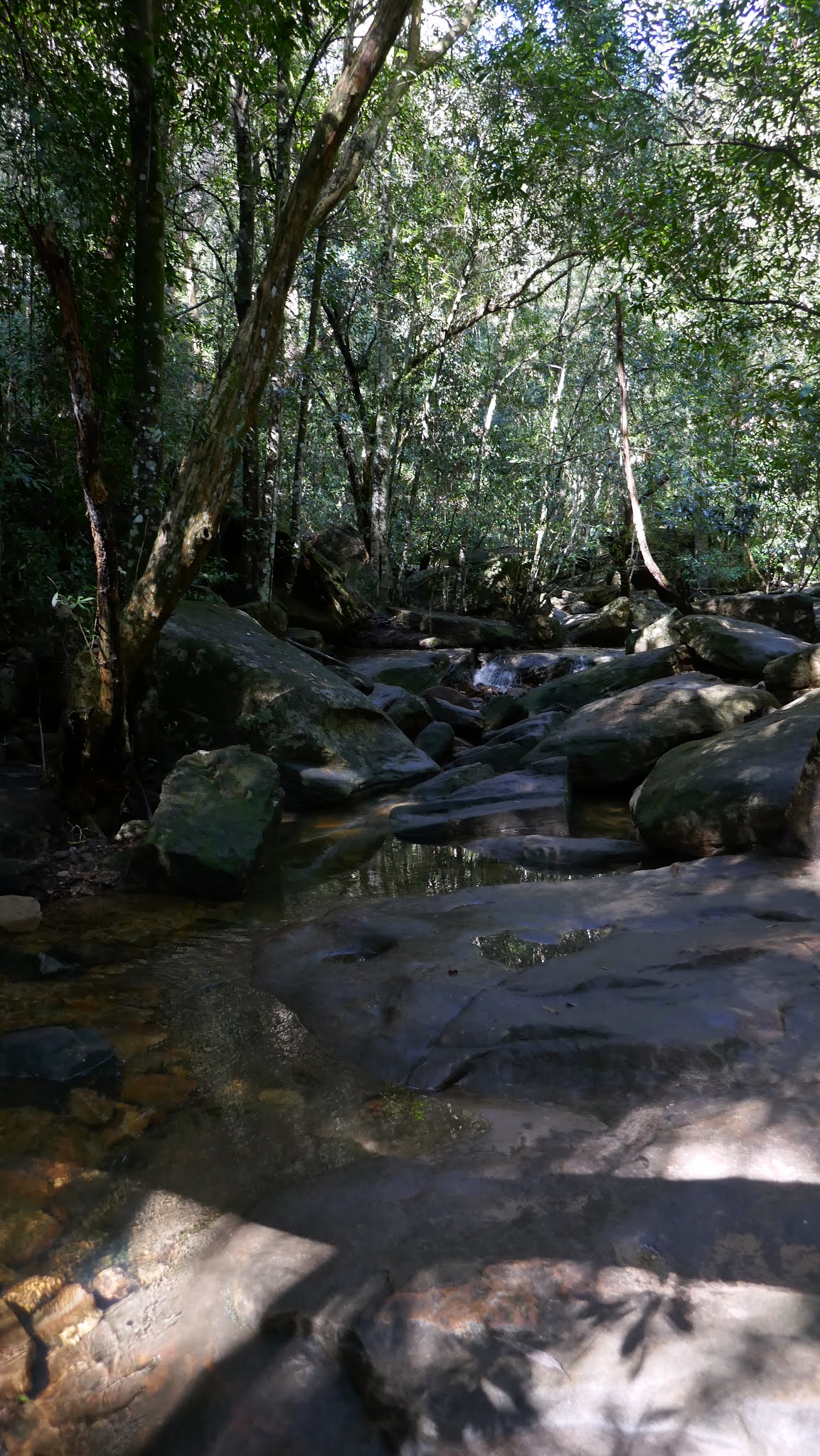 All The Gear But No Idea Cockle Creek & Cowan Water The Gibberagong
