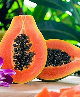 TOP ! 15 Benefits of Papaya For Soft Light Treatment Healthy T1ps TOP ! 15 Benefits of Papaya For Soft Light Treatment Healthy T1ps