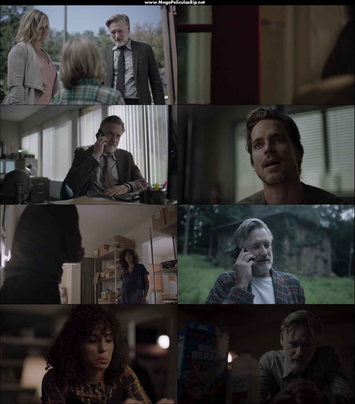 The Sinner Temporada 3 720p Latino