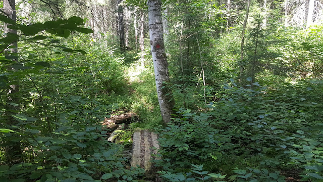 Sentier Yol au mont Kanasuta