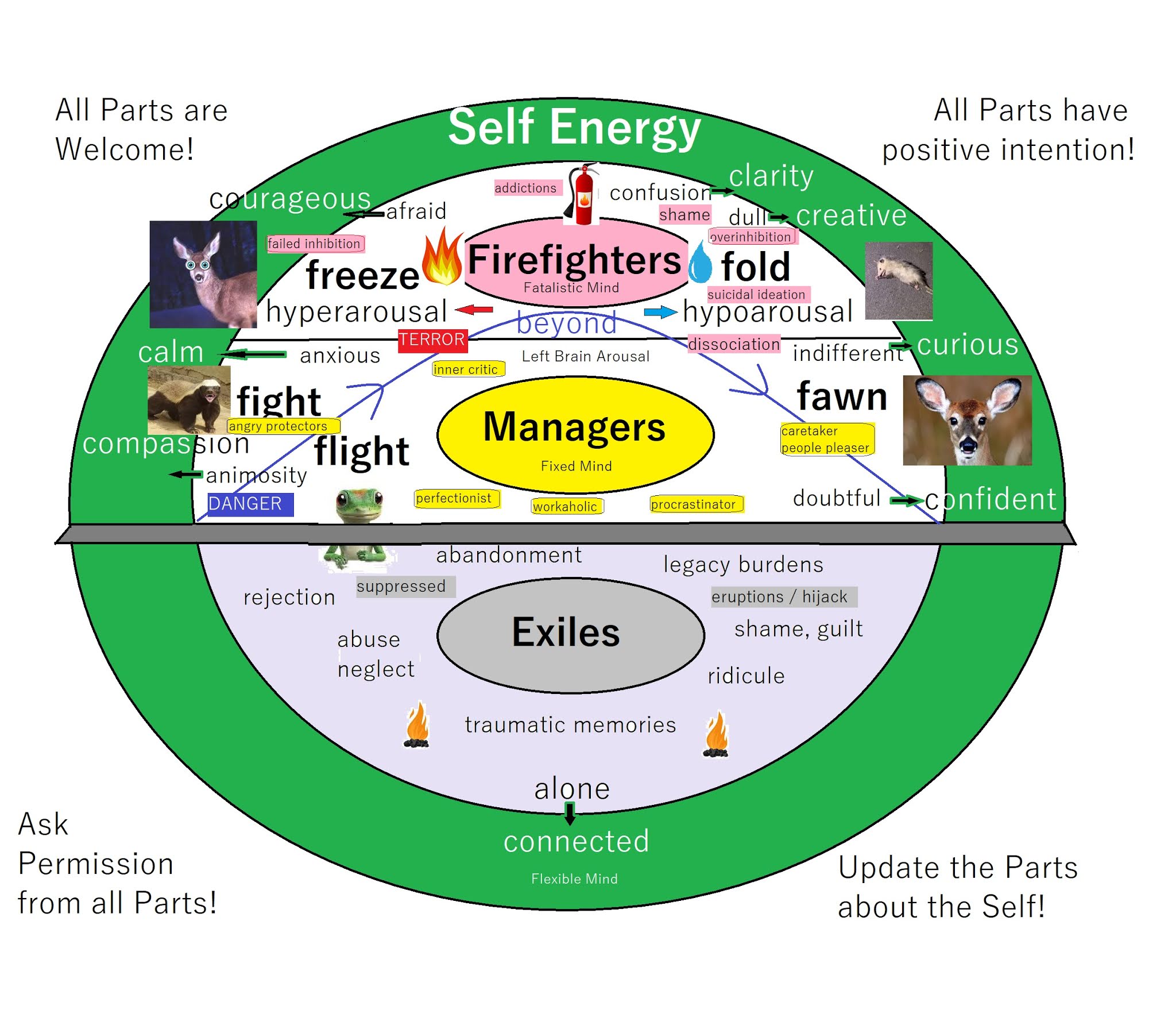 Emotional Empowerment DBT Internal Family Systems Polyvagal RO DBT Emotional Empowerment DBT Internal Family Systems Polyvagal RO DBT