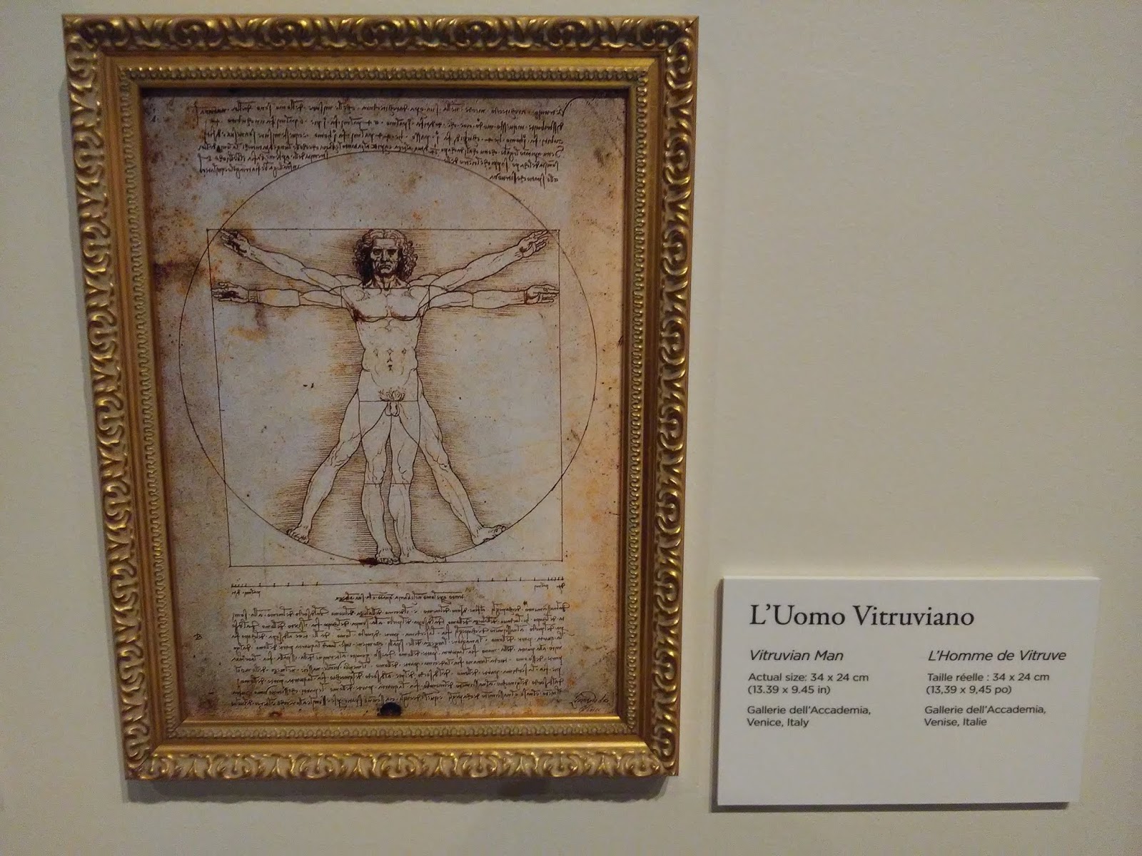 Ottawa Daily Photo The Vitruvian Man