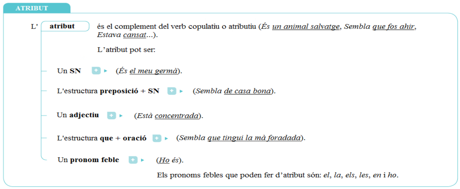 Xerraserra: Llengua catalana-6è