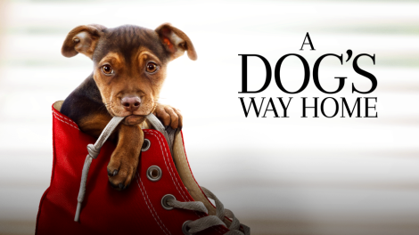 does a dogs way home have a happy ending