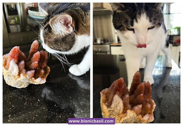 Colouring with Cats ©BionicBasil® Crystal of The Week - Melvyn Inspecting the Spirit Quartz