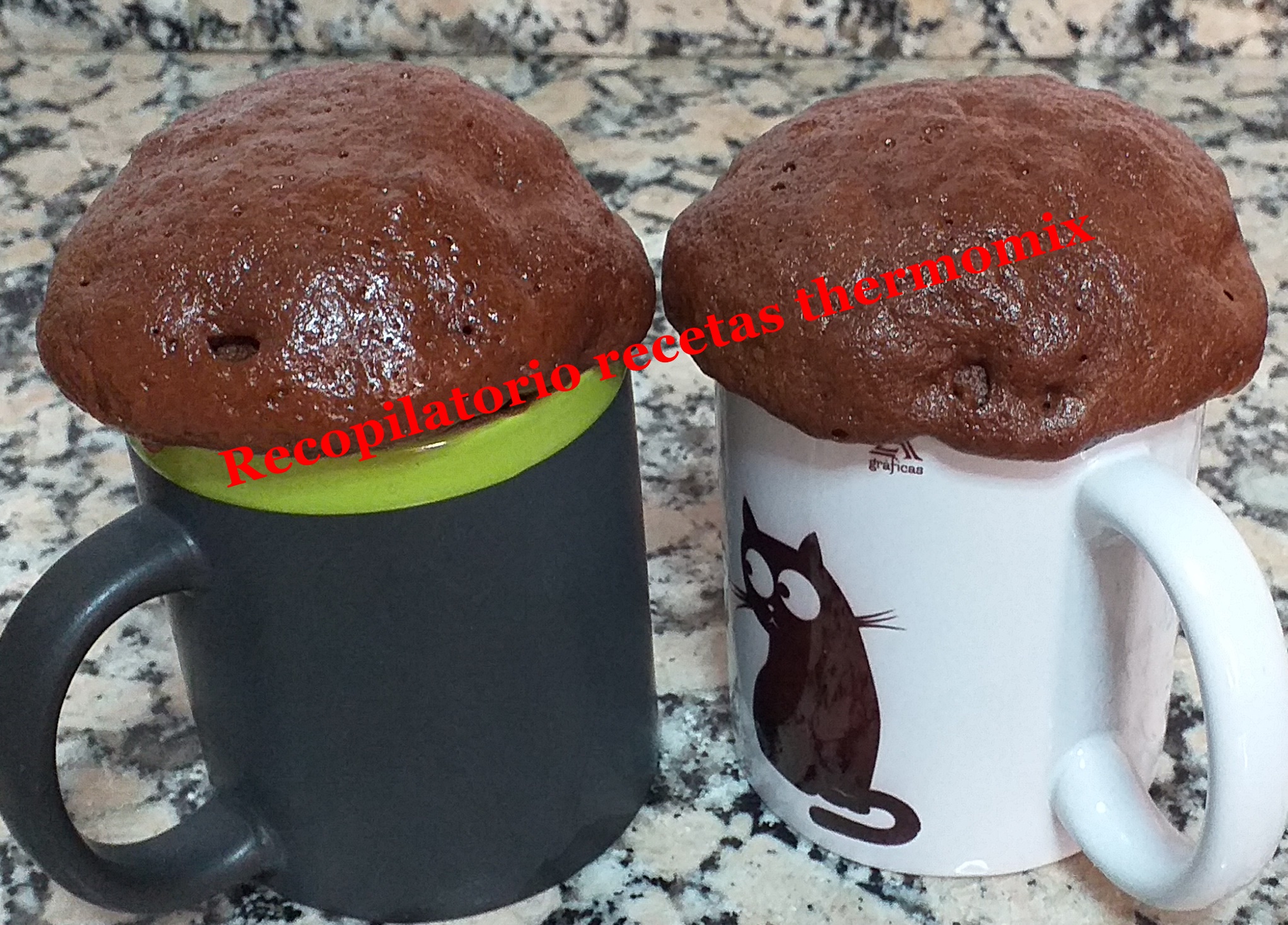 Recopilatorio de recetas thermomix Mug cake de chocolate en thermomix