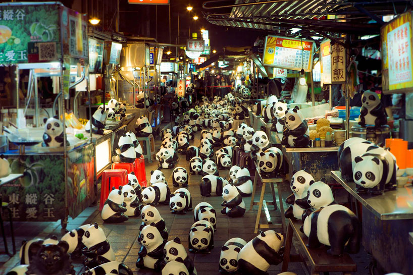 panda invadono le città