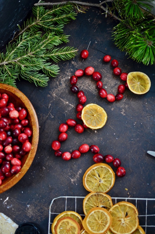Yammie's Noshery How to Make Dried Orange and Cranberry Garland {Tutorial}