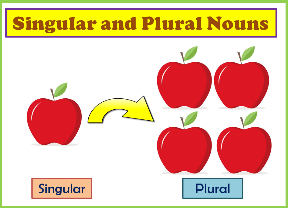 Grammar Singular & plural Nouns