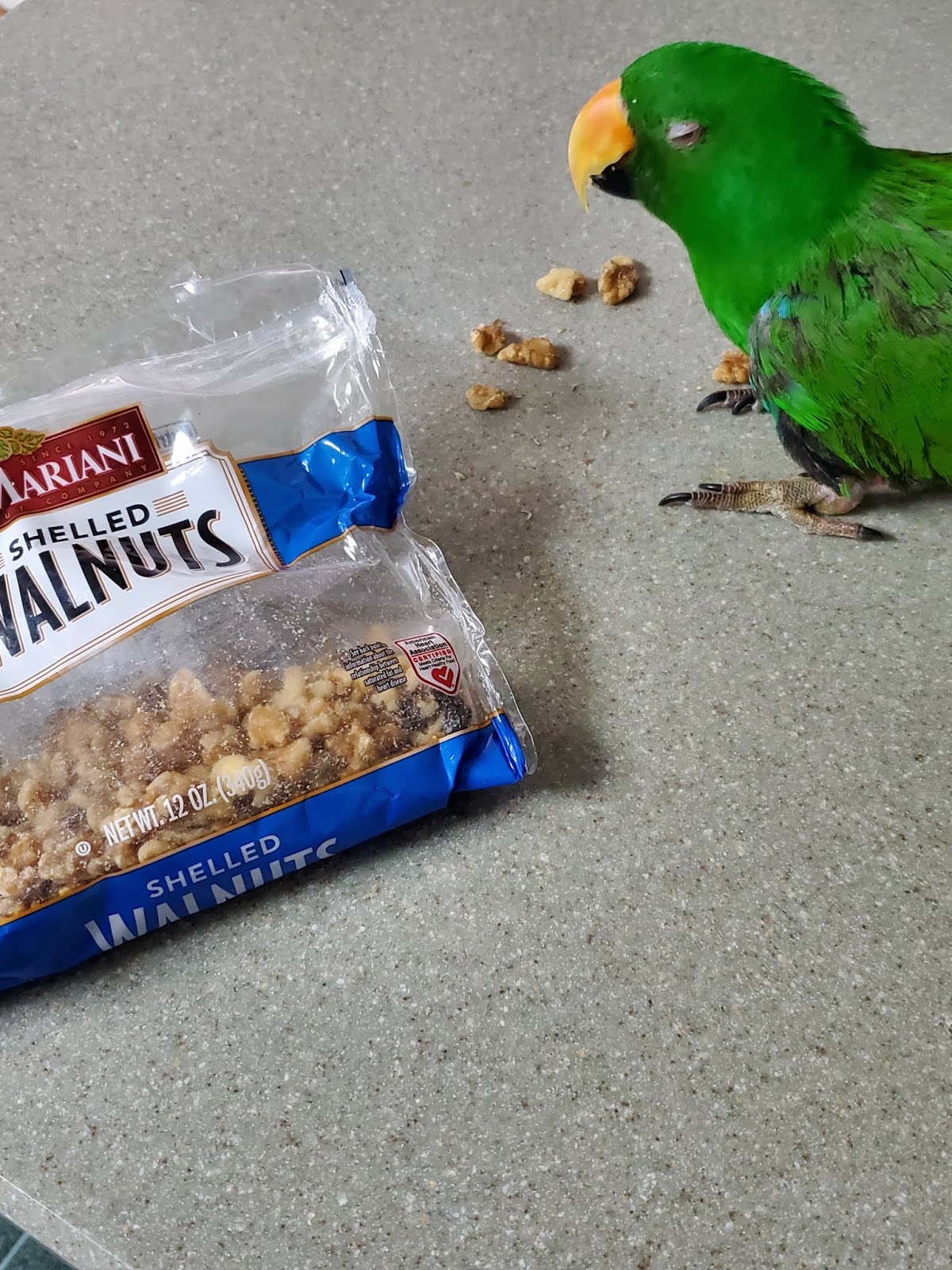 Sparrow Tree Journal Passing the days