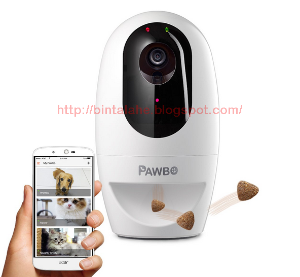 beli di mana kamera tersembunyi untuk memantau hewan peliharaan