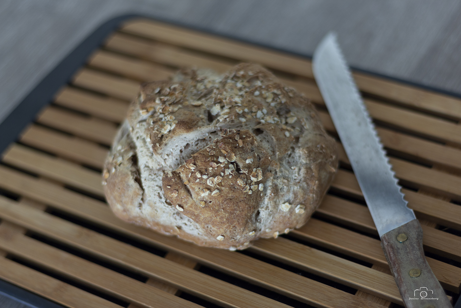 REVIEUW GlutenFree Artisan Bread in Five Minutes a Day