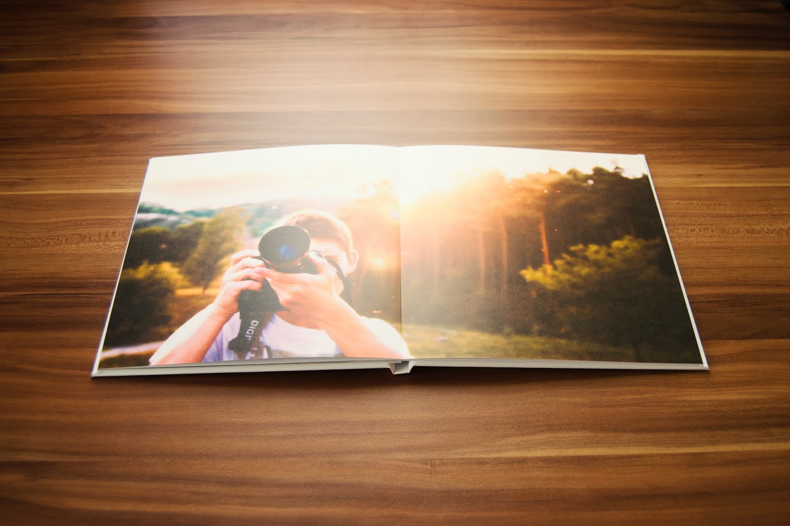 How to Sell Images in Shutterstock Success Microstock