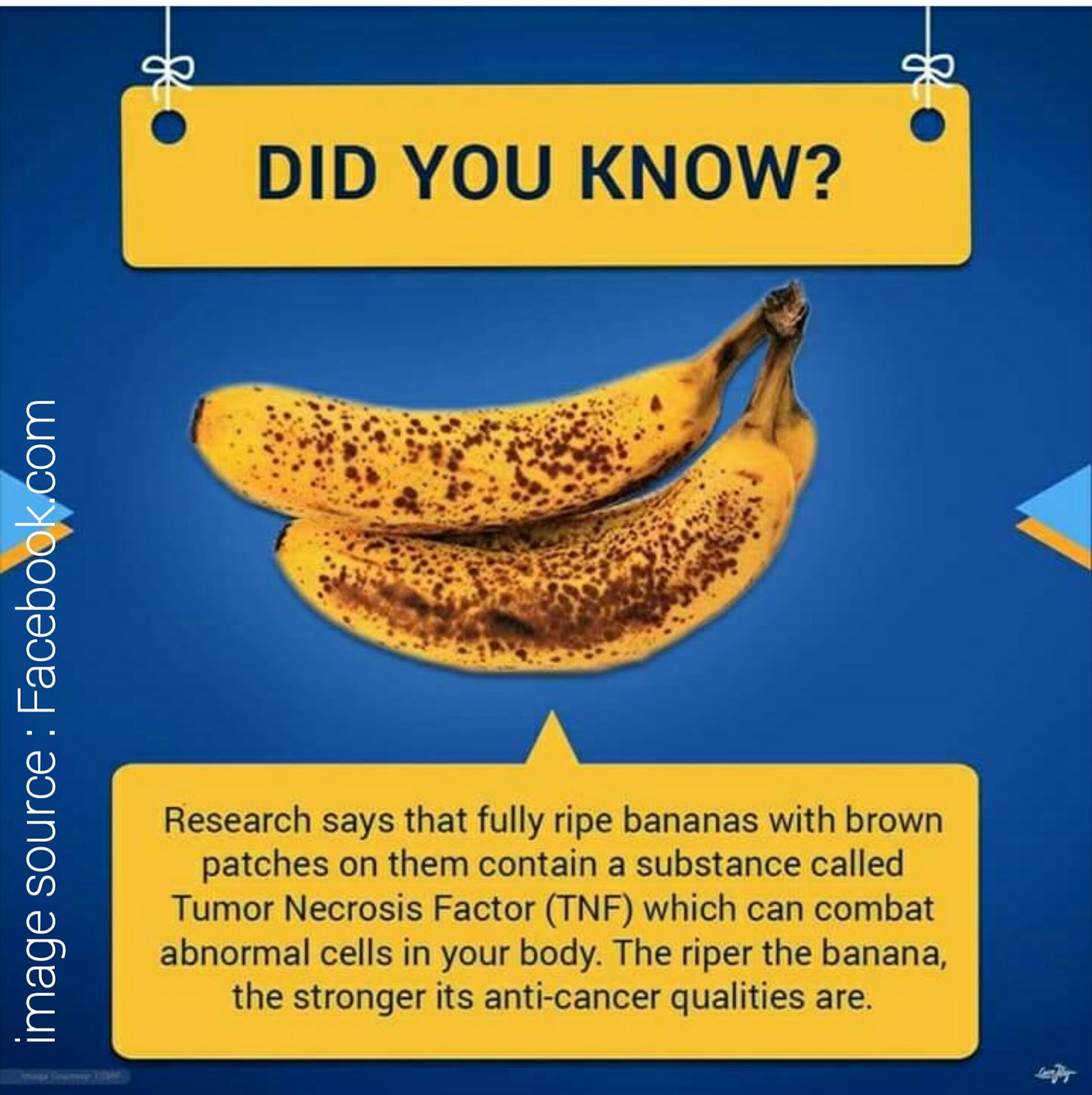 Is Blackhairedbanana A Myth? The Shocking Truth Revealed - suka0w9