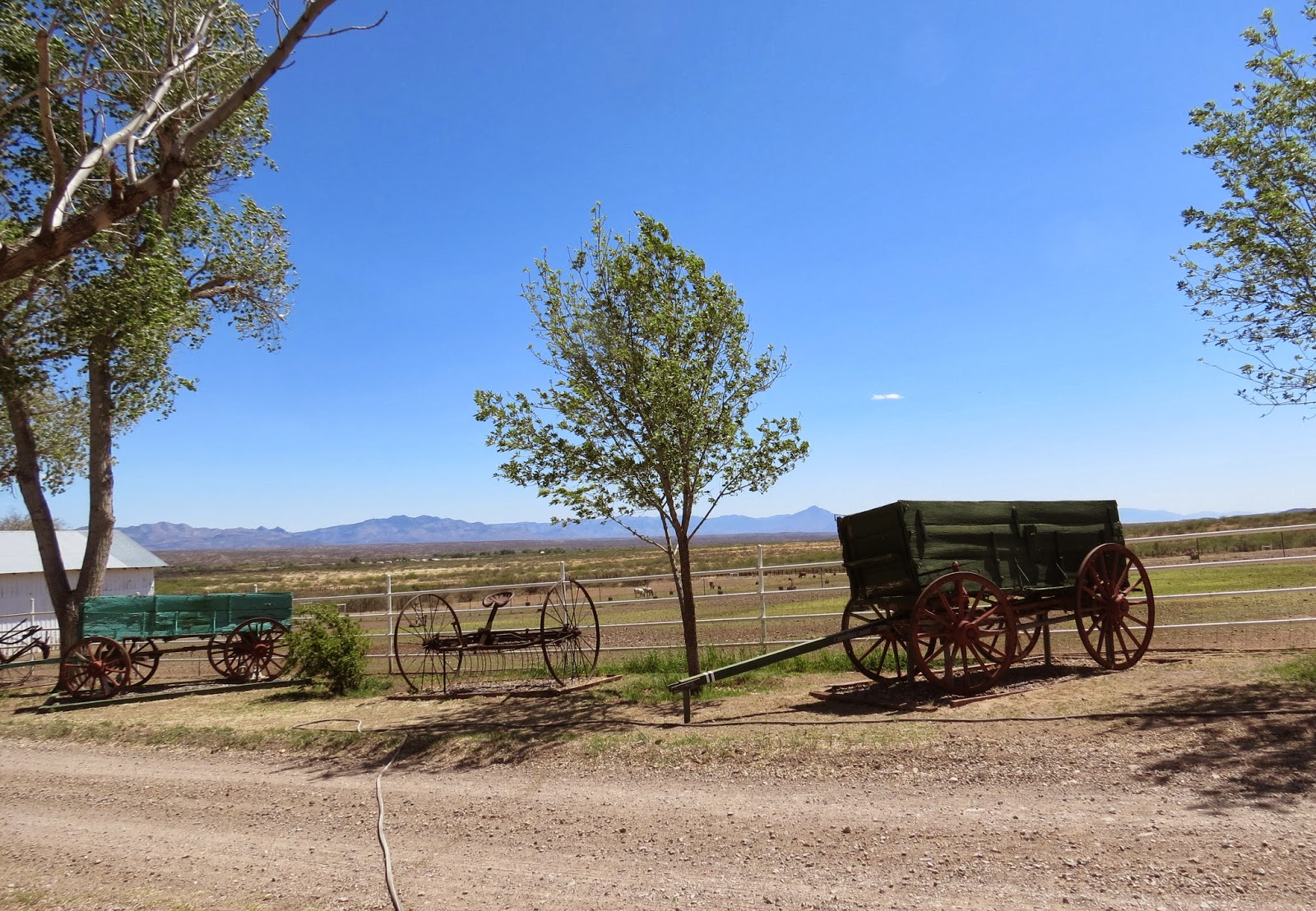 Where's Liz? 2014: Slaughter Ranch, San Bernadino and Leslie Canyon ...