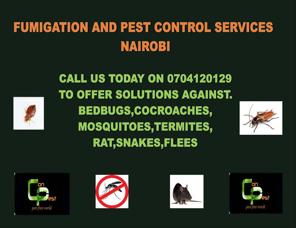 Fumigation / Pest Control Services in Nairobi Fumigation and Pest