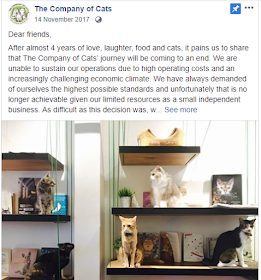 Cat Cafe closure