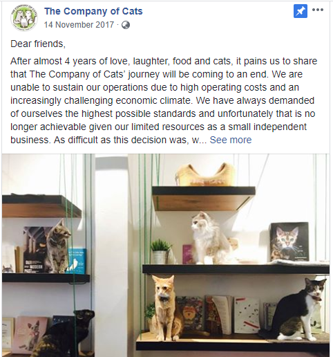 Cats Cafes Singapore Cat Cafe closure