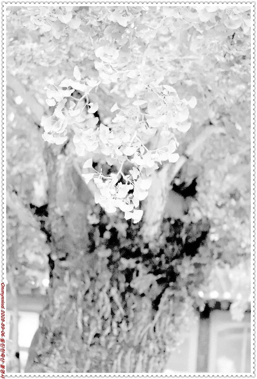 천축산 불영사 천축산 불영사