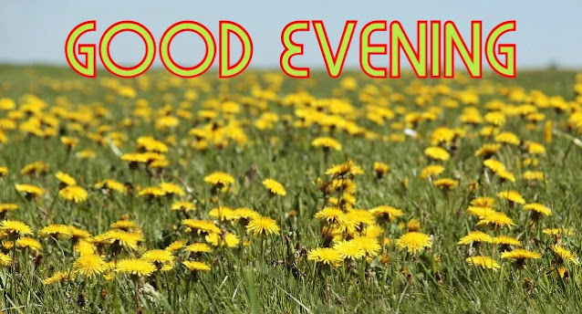 Good Evening Photo Good Evening Photo