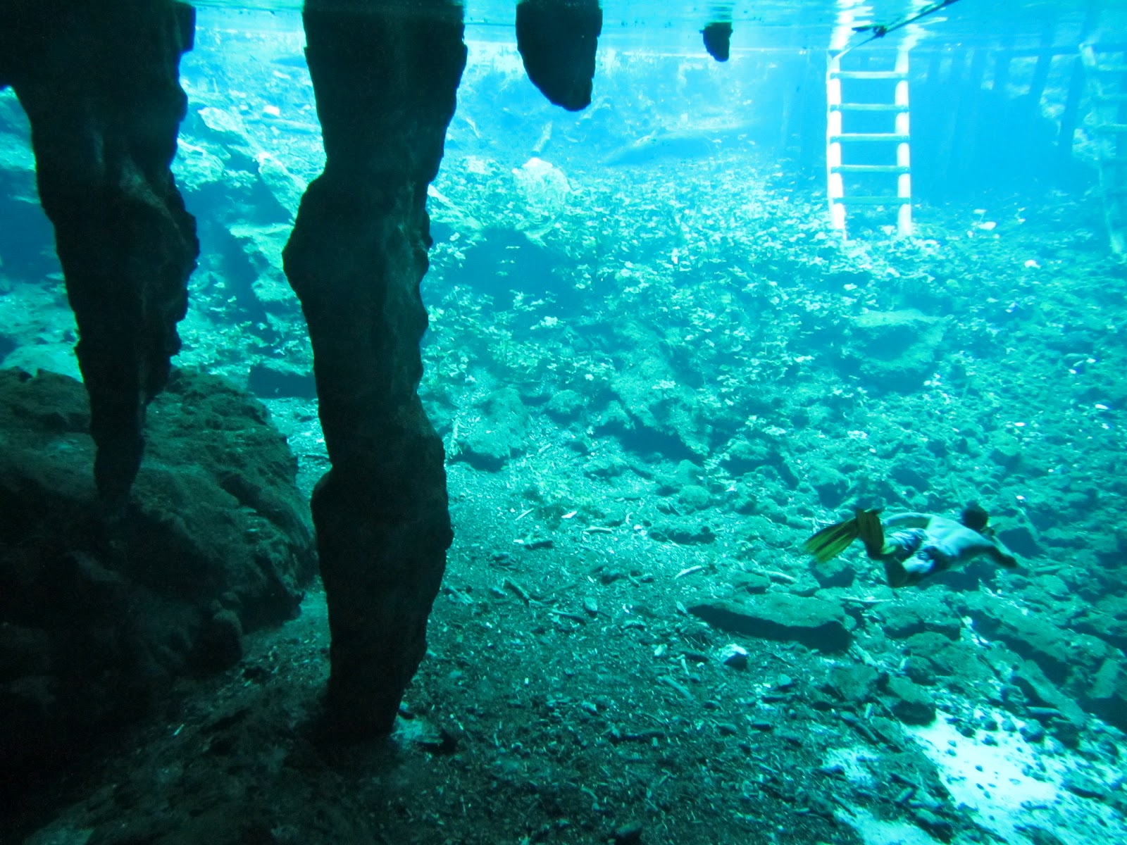 Os CENOTES DO MÉXICO - Uma viagem ao centro da Terra em Tulum | México