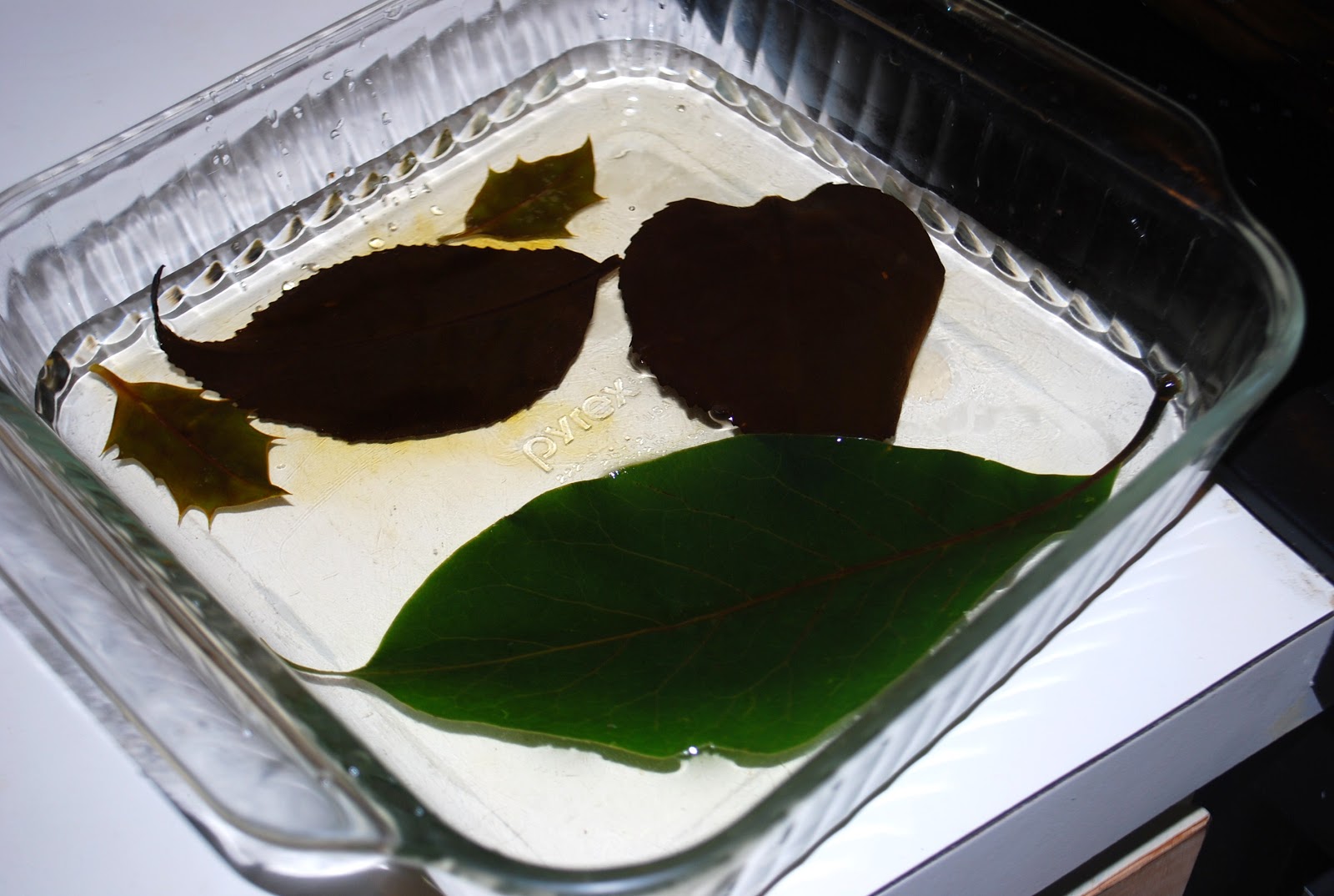 Our Creative Day Skeleton Leaves