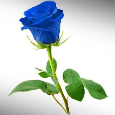 Ofereça à Mãe de Jesus, O Emanuel, a Rosa Azul, clique abaixo.