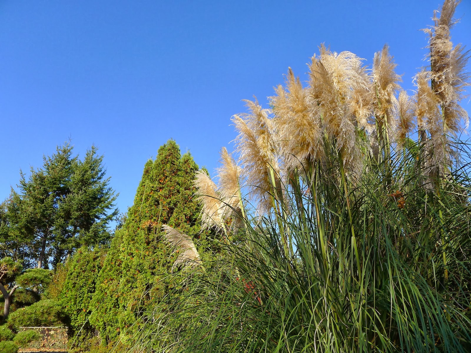 Good Life Northwest: Happy November - Photo Tour of Point Defiance Park