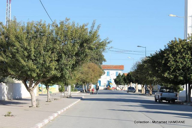 CULTURE et PATRIMOINE DE TUNISIE EN IMAGES MOHAMED HAMDANEثقافة وتراث