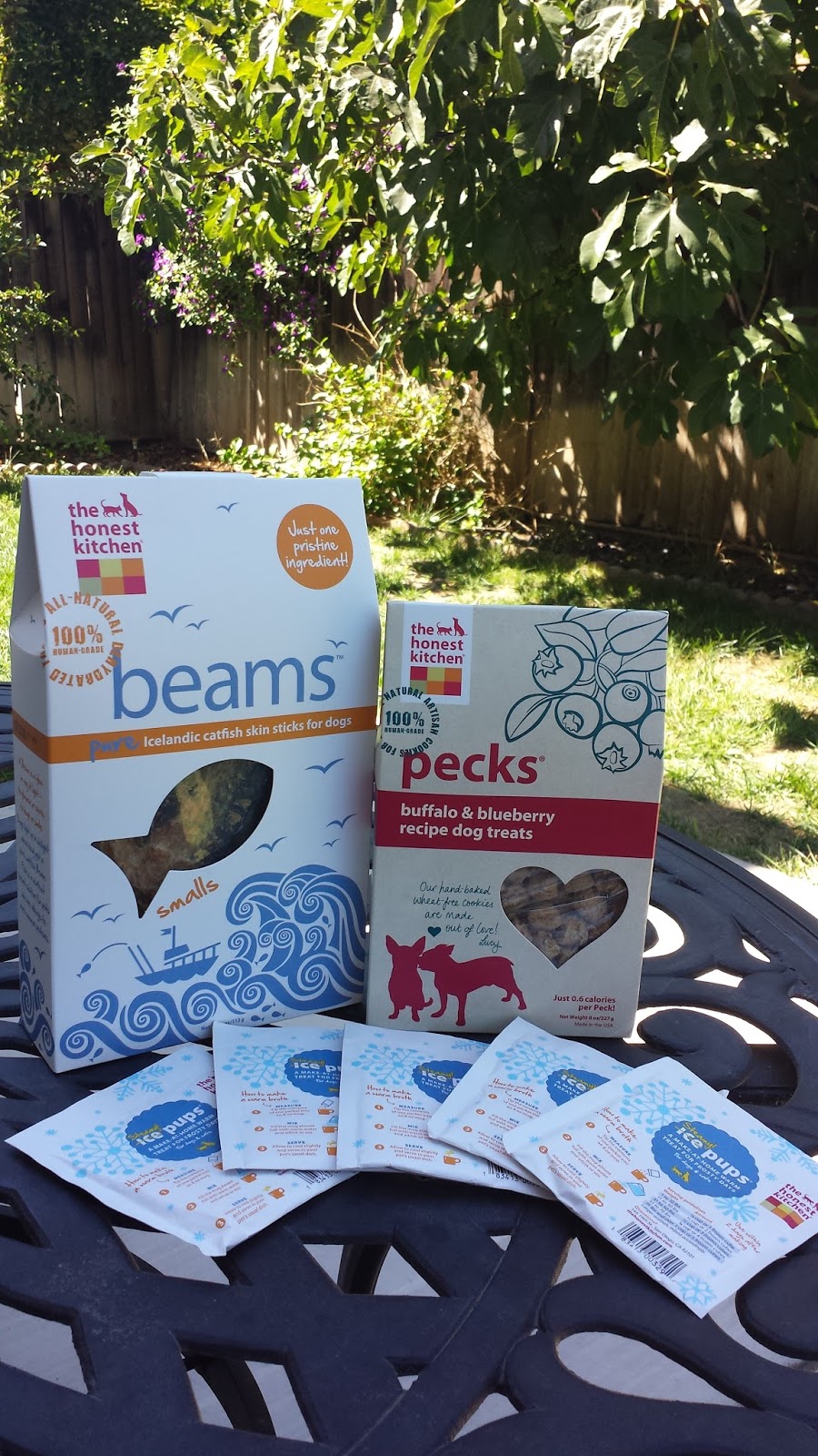 Ruckus The Eskie Fish