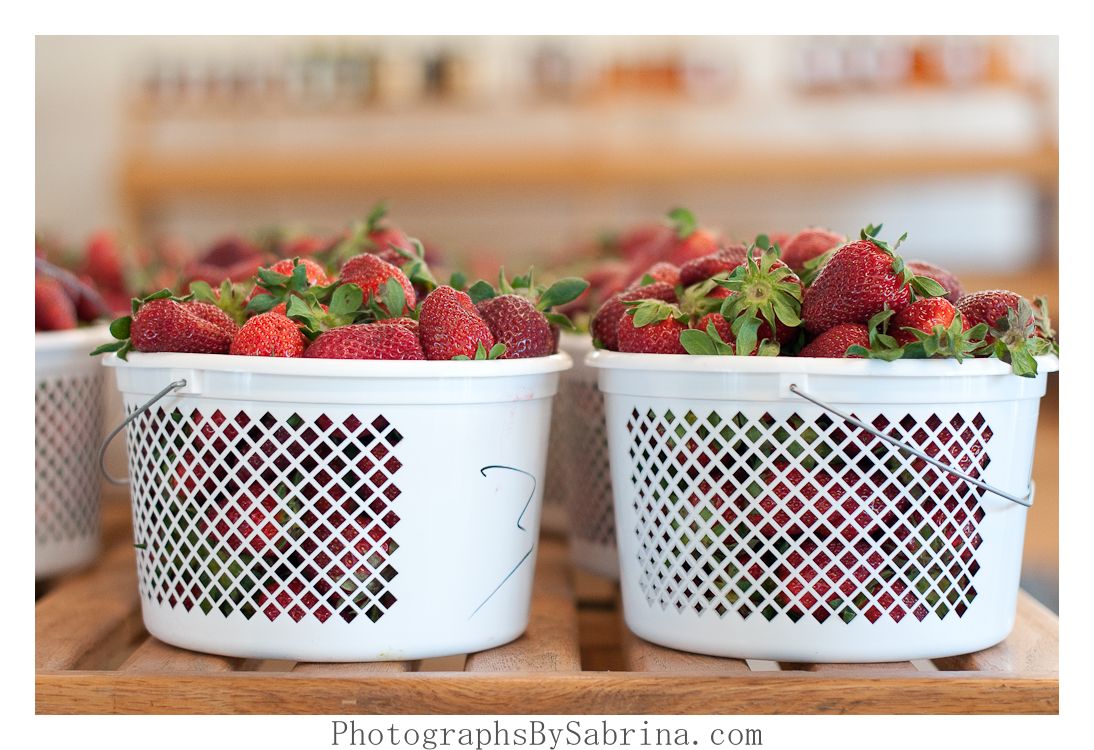 Photographs by Sabrina Lisa of Marvelous Pies