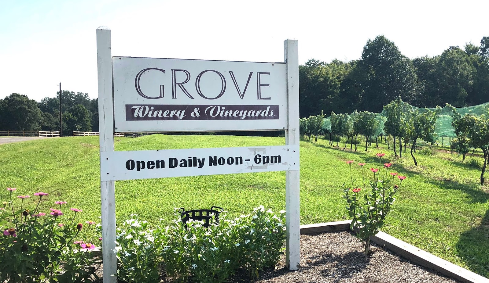 North Carolina Wine; A Visit to Grove Winery and Vineyards