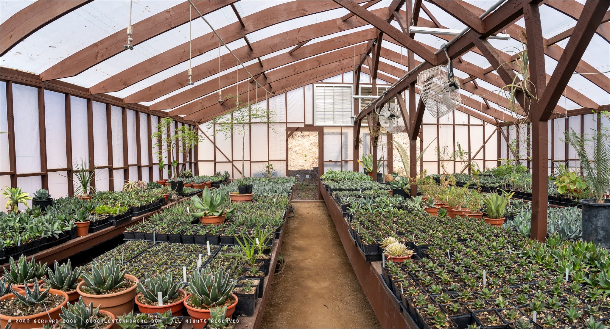 Jeremy Spath's Hidden Agave Ranch: the greenhouse