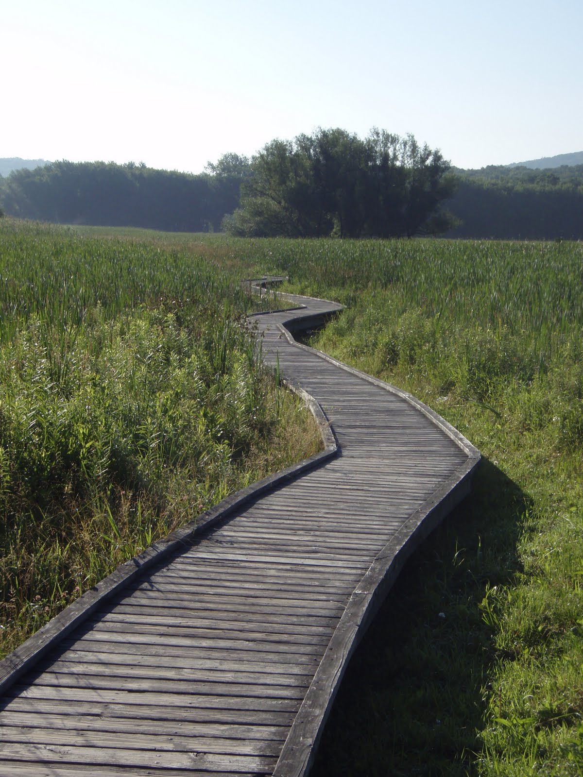 Eats and Jetpack Hike the Appalachian Trail: We're in Vermont!
