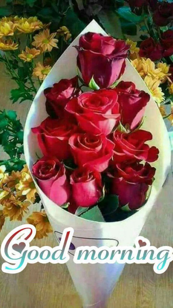 Good Morning Images Download Hd Good Morning Images Download Hd