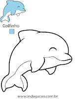 Golfinho golfinho