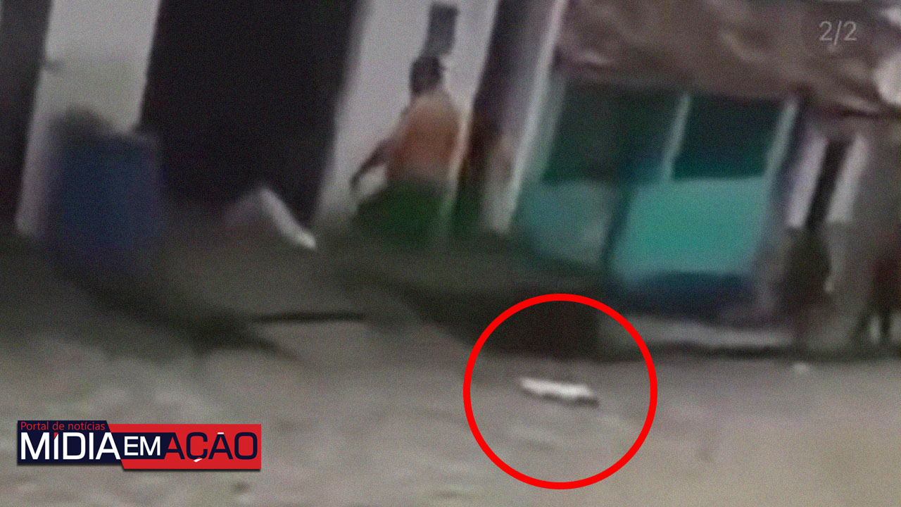 Homem é preso após ser flagrado matando gato a pauladas; veja o vídeo