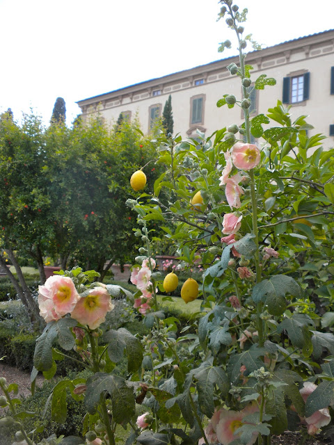 Villa Poggio Torselli