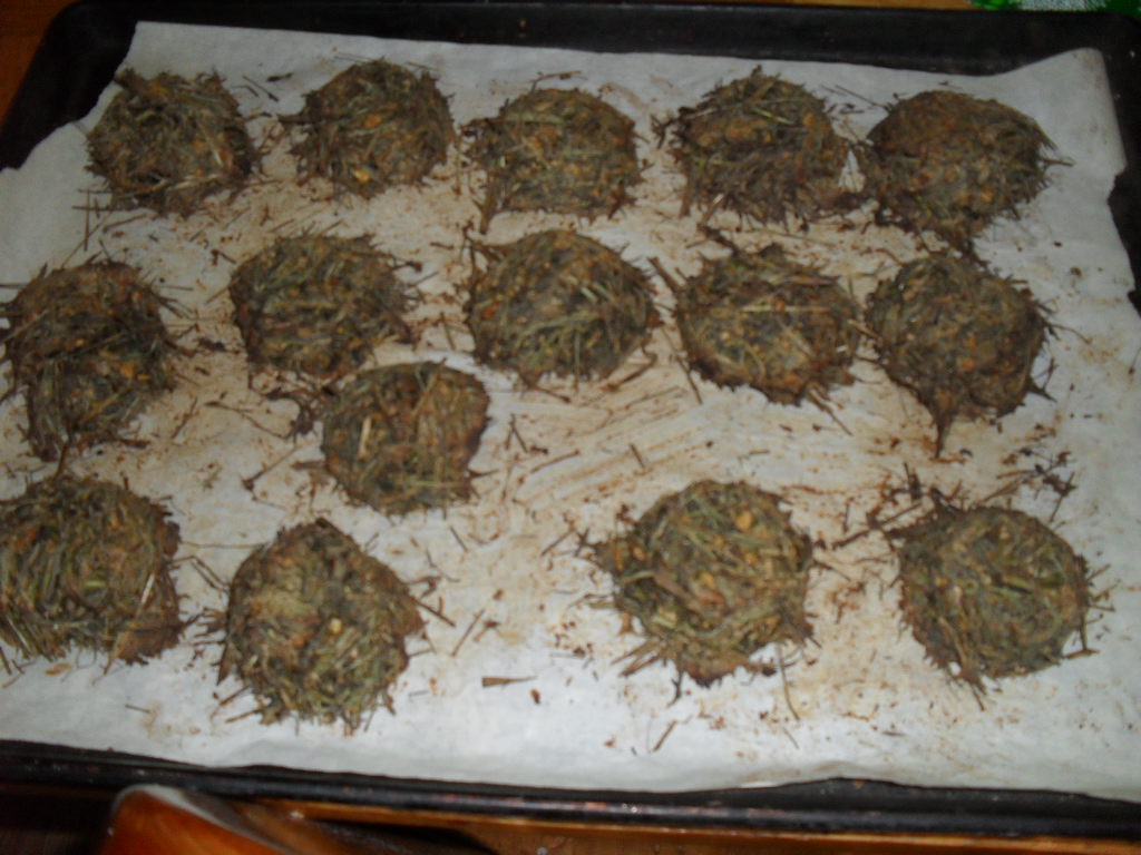 My Half Acre Homestead Something different...Making my own Rabbit food!