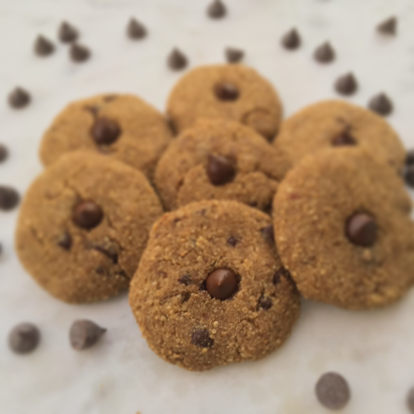 Holistic Eats Vegan Quinoa Chocolate Chip Cookies