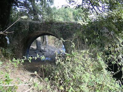 Puente Romano de los Piconeros en la vereda de la Alcaidía