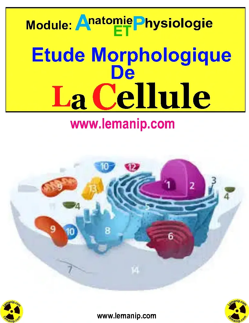 Module : Anatomie  Et Physiologie  Etude Morphologie De La Cellule Humain   Corps Humain Femme Et Homme