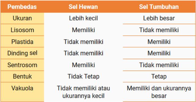 Perbedaan Sel Hewan Dan Sel Tumbuhan