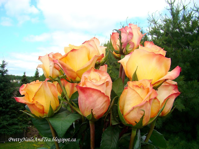 Roses and Tea Cups