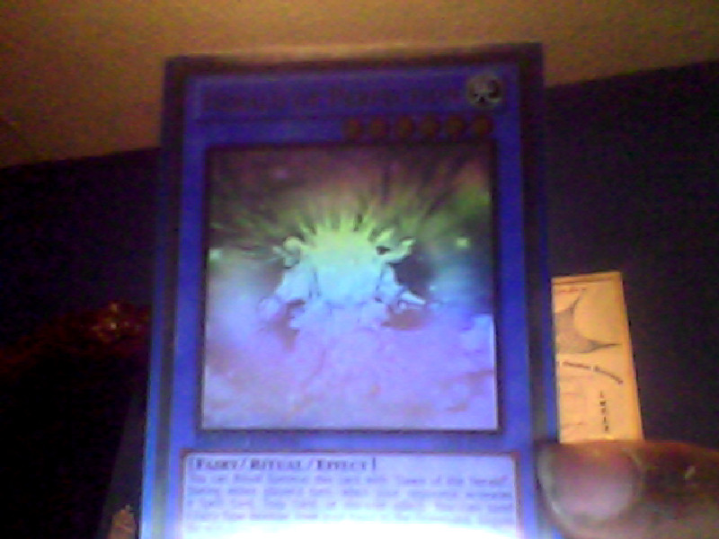 Yugioh Rogue Deck Detective lets go rogue