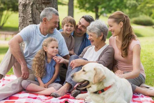 Festa dei Nonni: per nonni e bambini gli amici a quattro zampe fanno bene alla famiglia Festa dei Nonni: per nonni e bambini gli amici a quattro zampe fanno bene alla famiglia