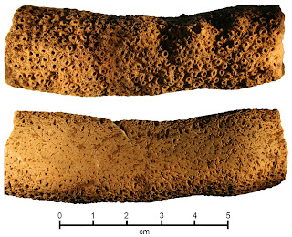 Alex Guerra Terra: Noticias & Actualidad