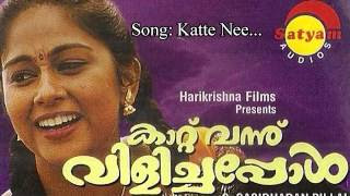 Katte-Nee-Veesharuthippol-Lyrics-K-S-Chithra