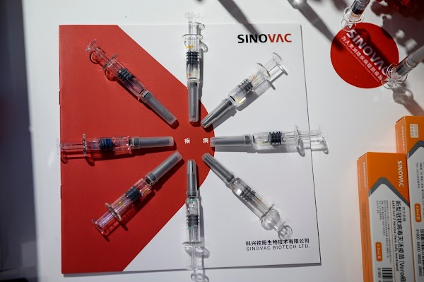 Akan Gunakan Vaksin Sinovac China, Turki Tunggu Hasil Uji Coba Terakhir dari Indonesia dan Brasil