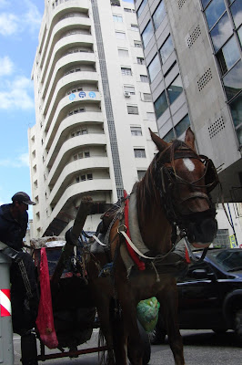 Hochhaus_mit_Pferd